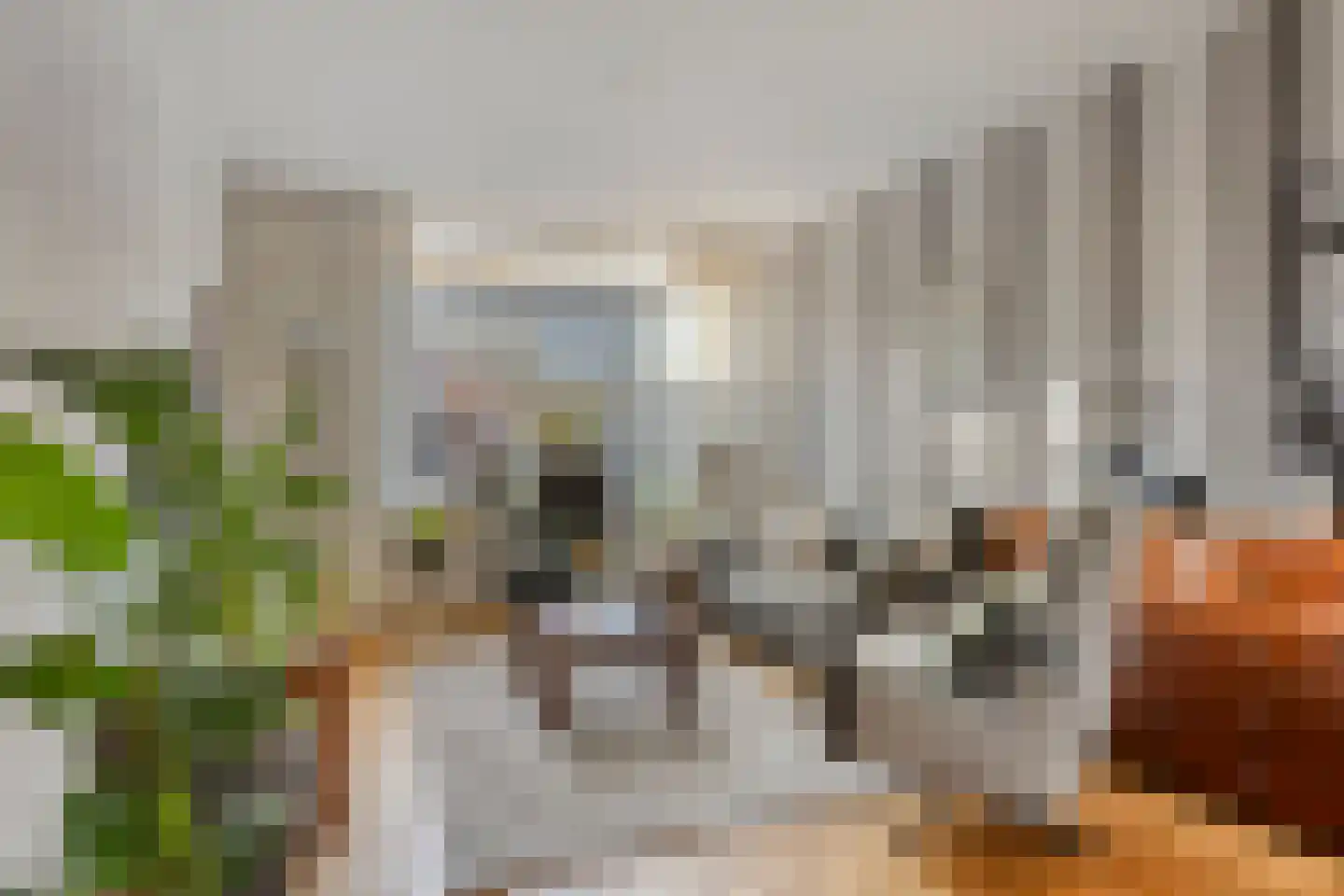 Frans Halsstraat 44 Haaksbergen thumbnail 4