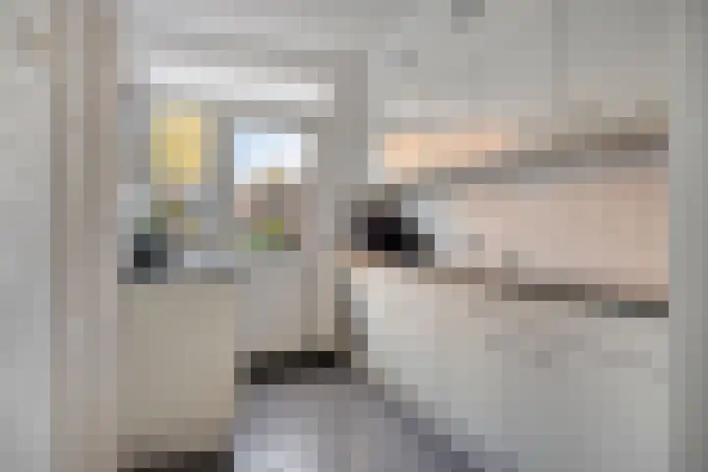 Frans Halsstraat 44 Haaksbergen thumbnail 8