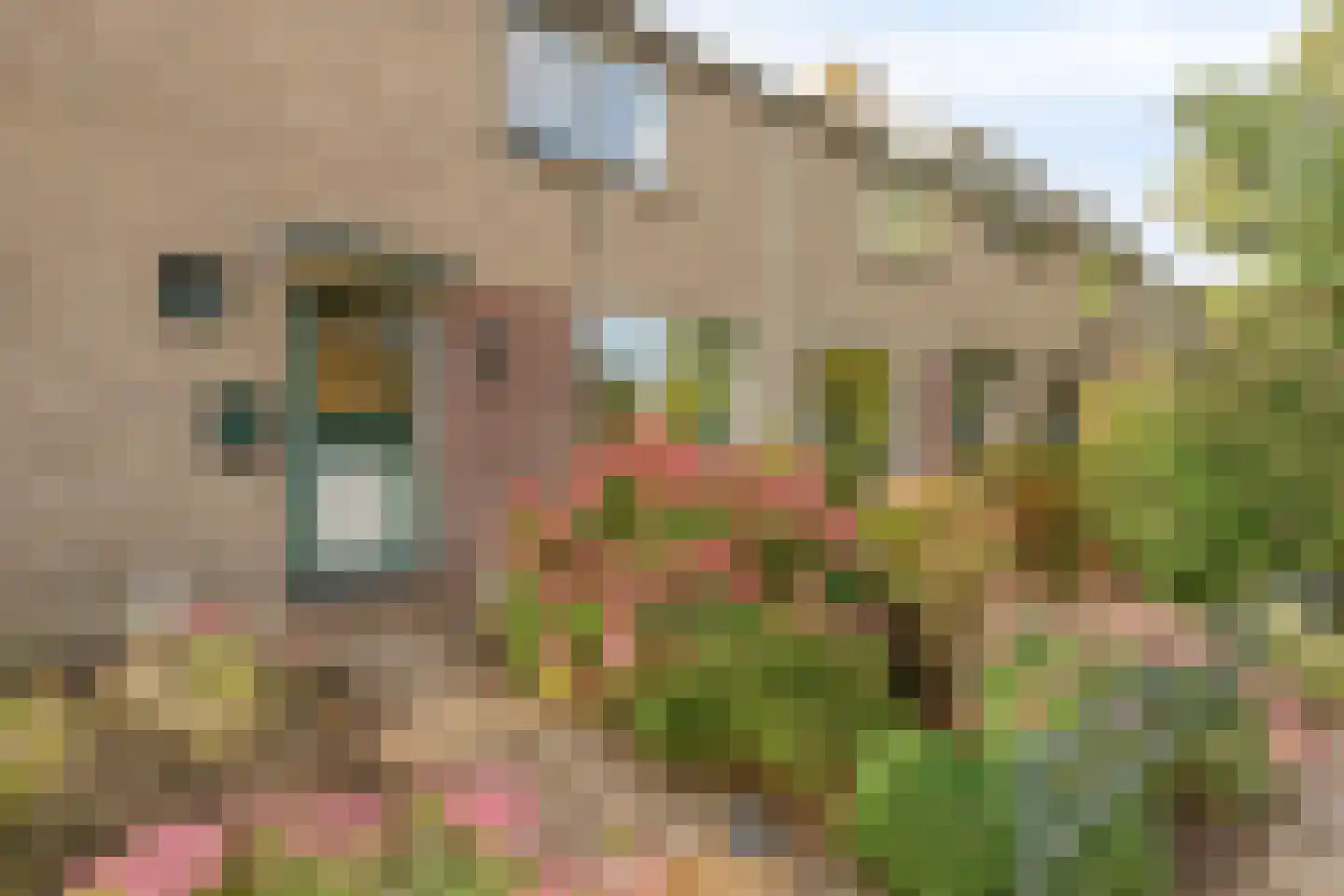 Frans Halsstraat 44 Heerhugowaard thumbnail 10