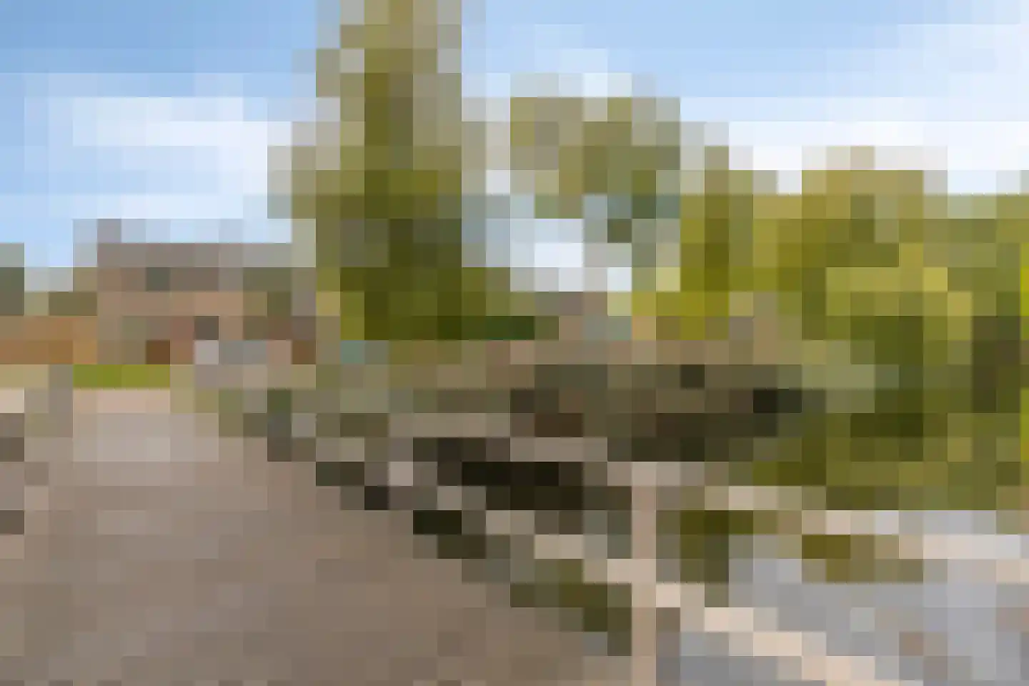 Frans Halsstraat 44 Heerhugowaard thumbnail 15