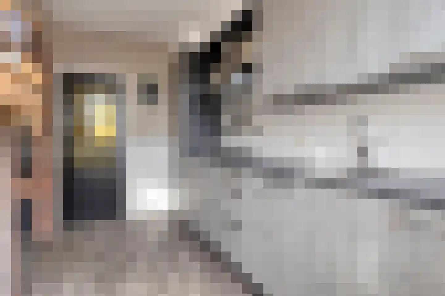 Frans Halsstraat 44 Heerhugowaard thumbnail 27