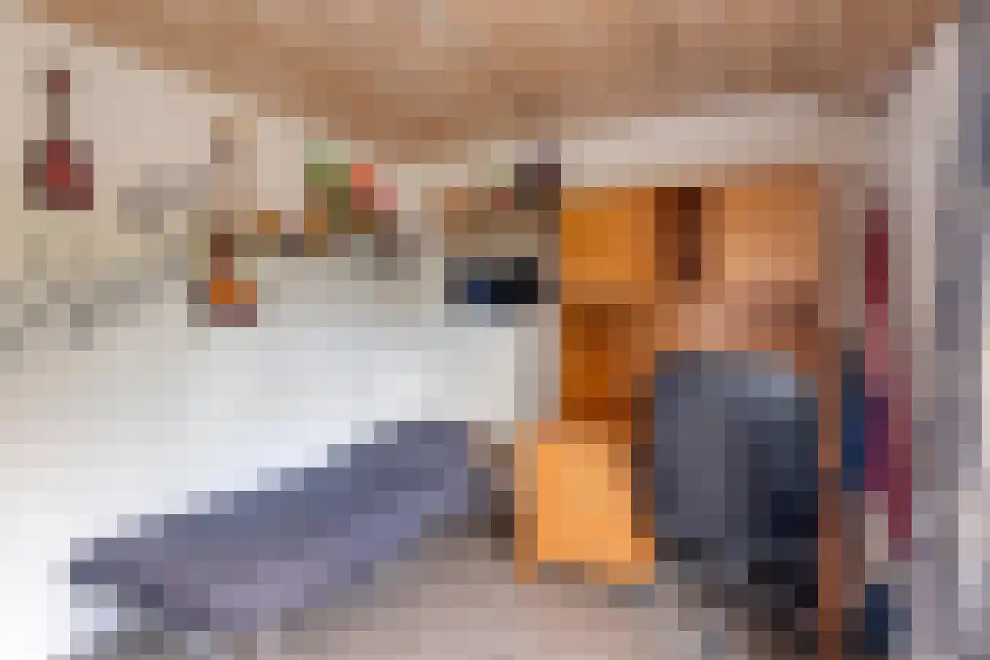 Frans Halsstraat 44 Heerhugowaard thumbnail 34
