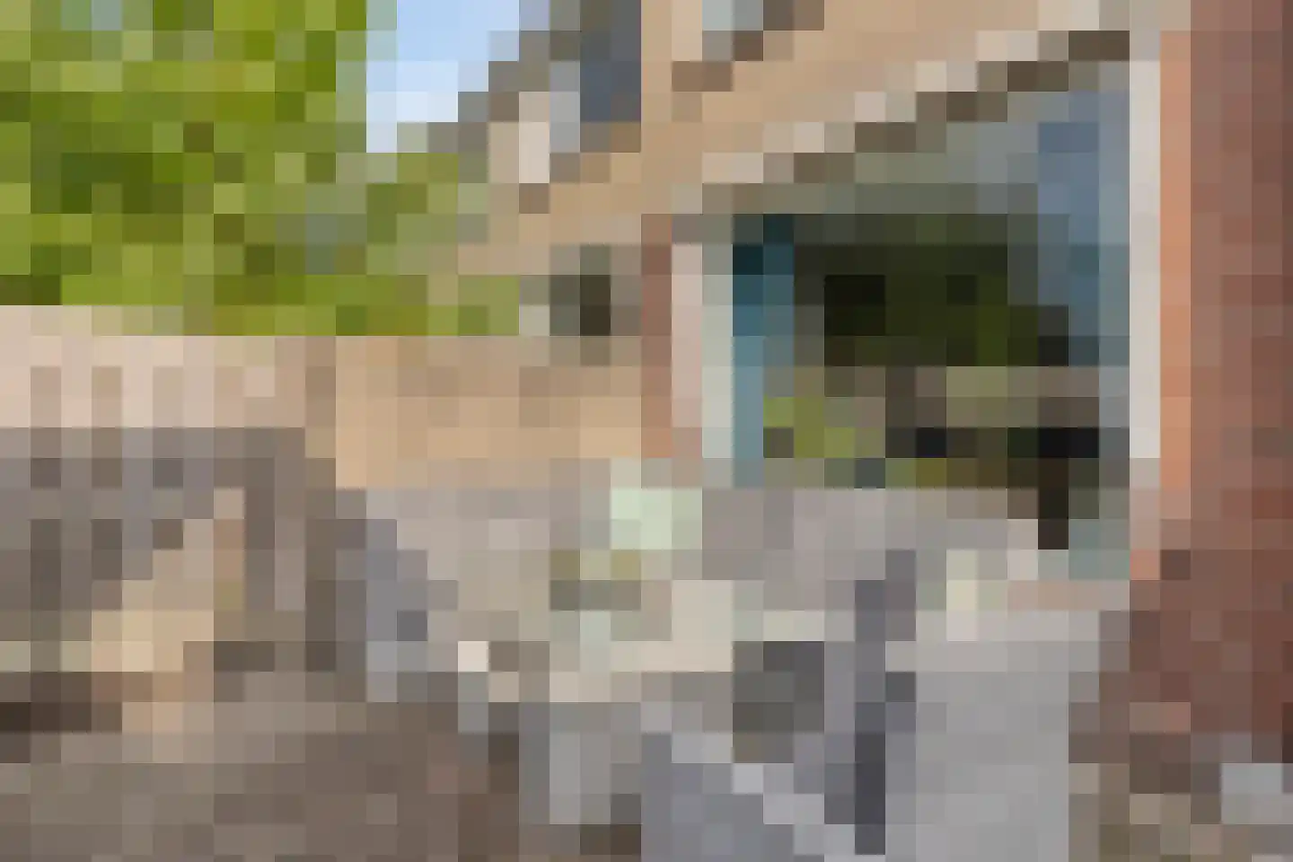 Frans Halsstraat 44 Heerhugowaard thumbnail 44