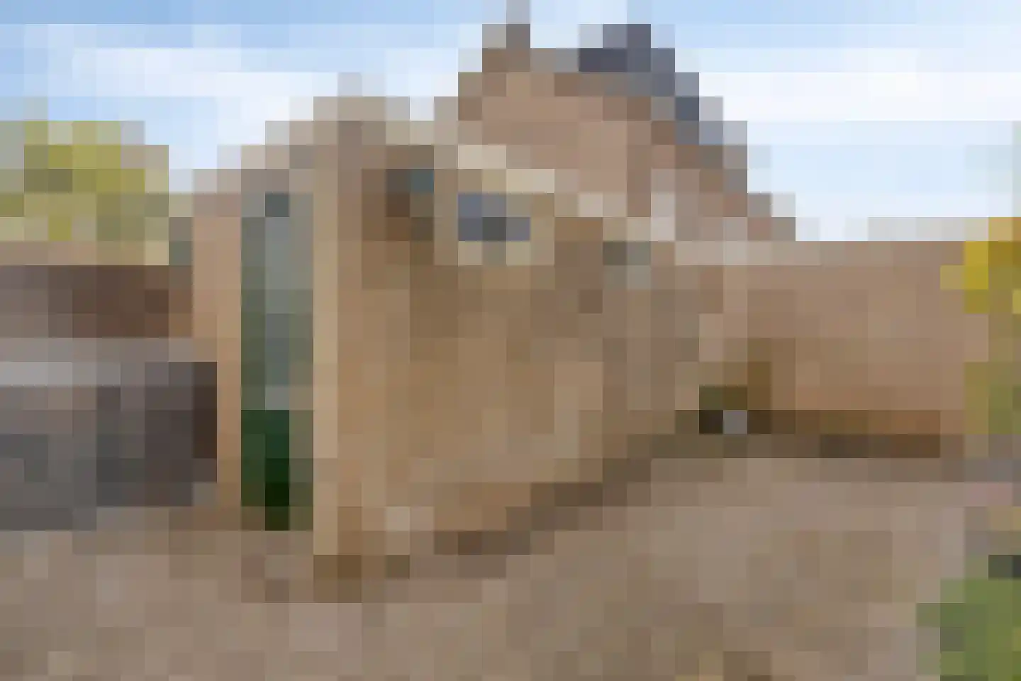 Frans Halsstraat 44 Heerhugowaard thumbnail 48