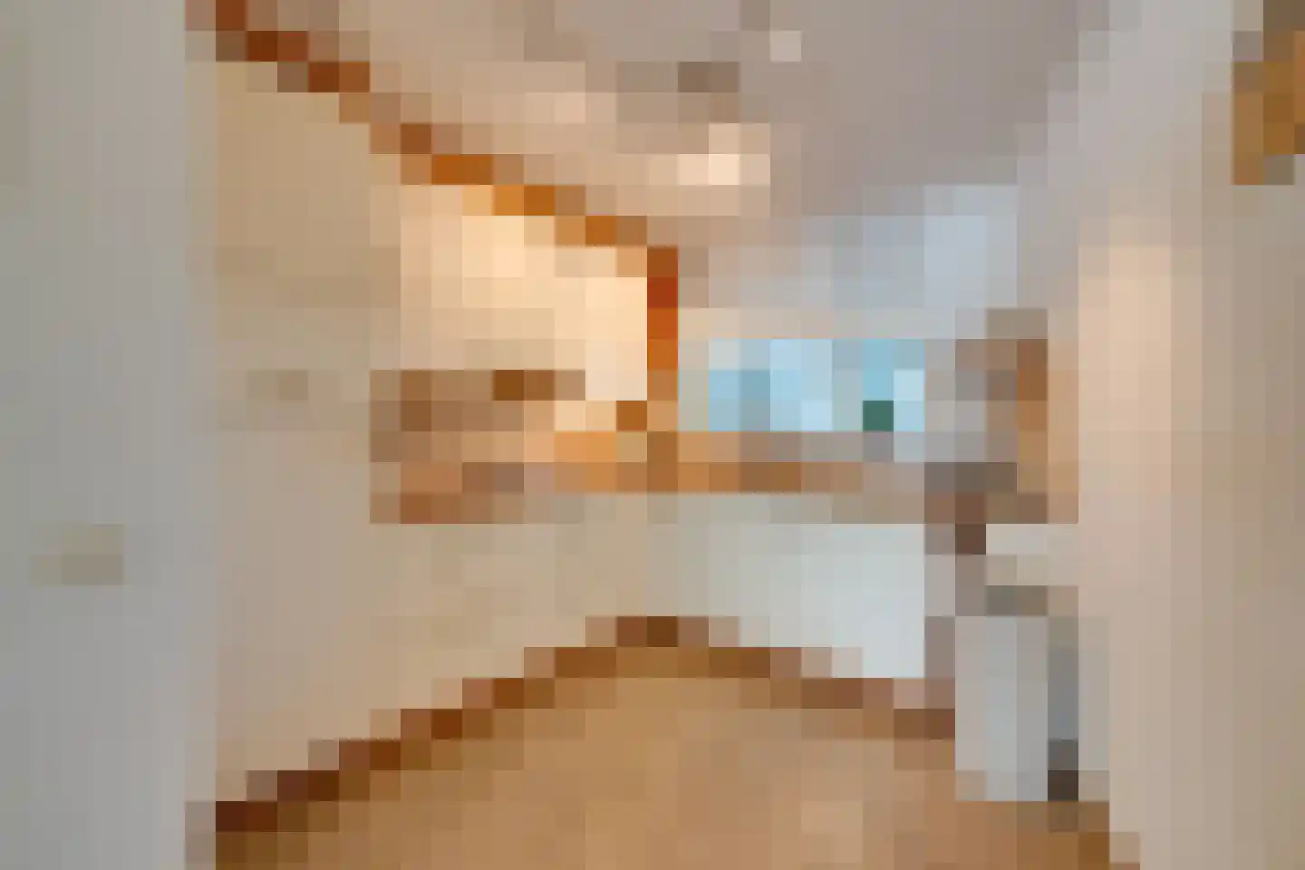 Frans Halsstraat 44 Volendam thumbnail 22