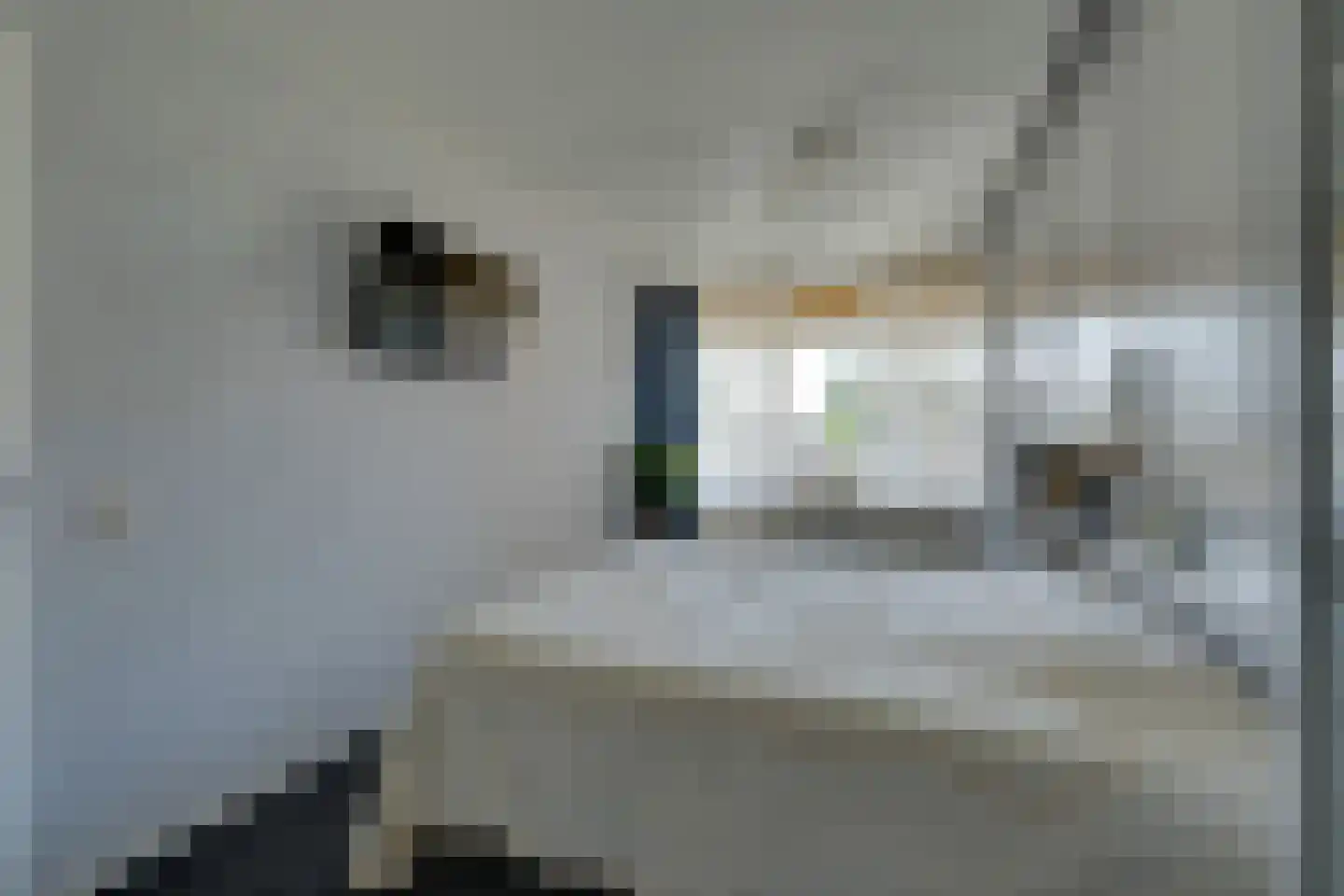 Frans Halsstraat 44 Volendam thumbnail 33