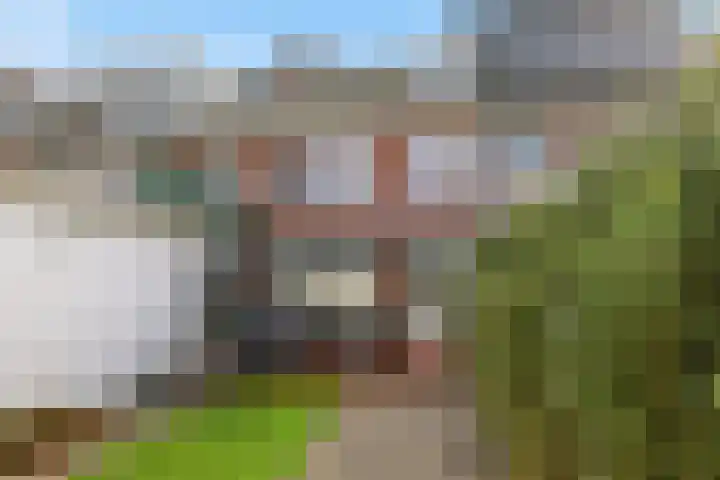 Frans Halsstraat 44 Zaandam thumbnail 33