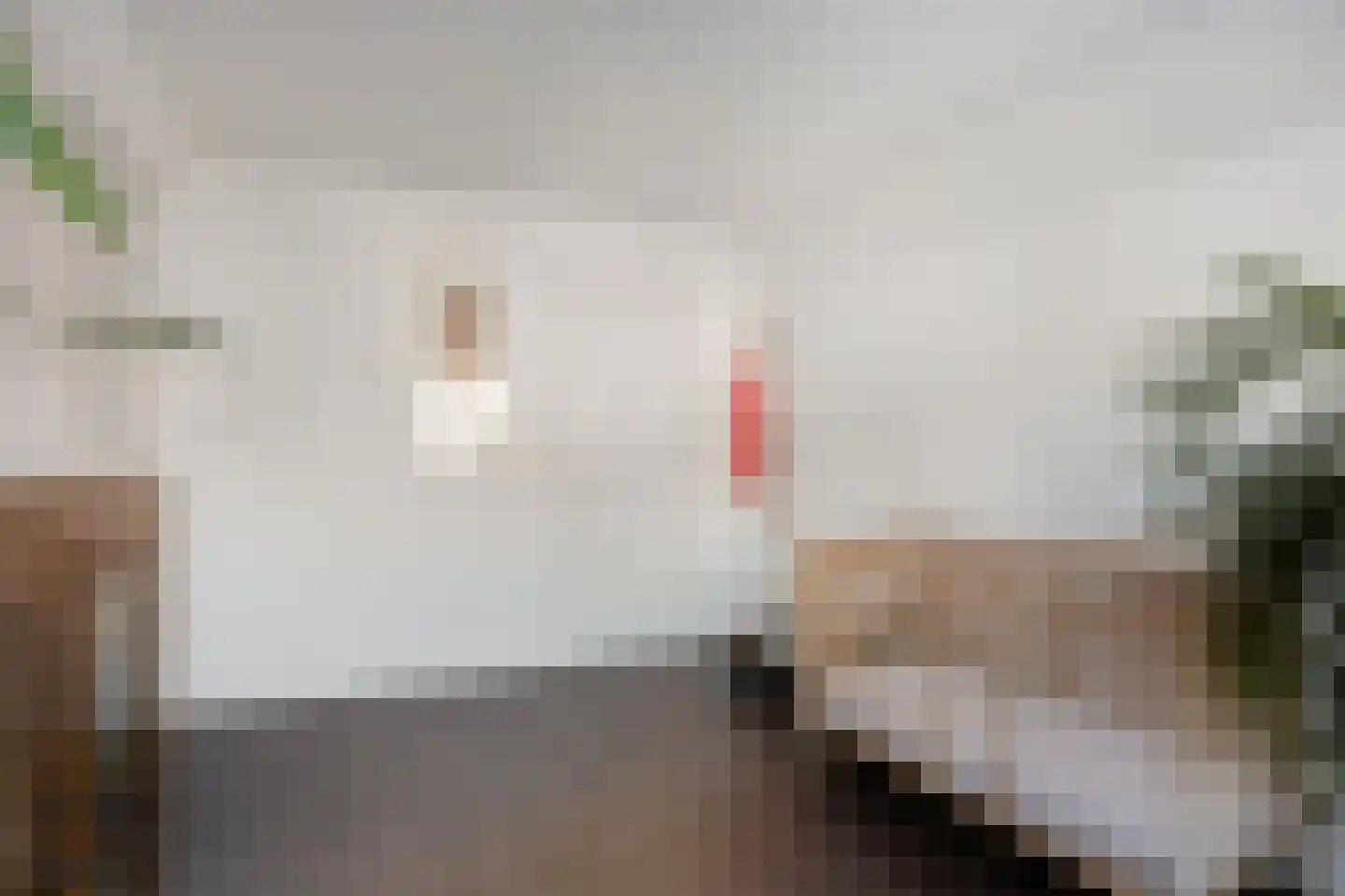 Frans Halsstraat 45 Alkmaar thumbnail 11