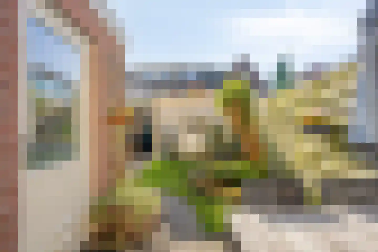 Frans Halsstraat 45 Alkmaar thumbnail 20