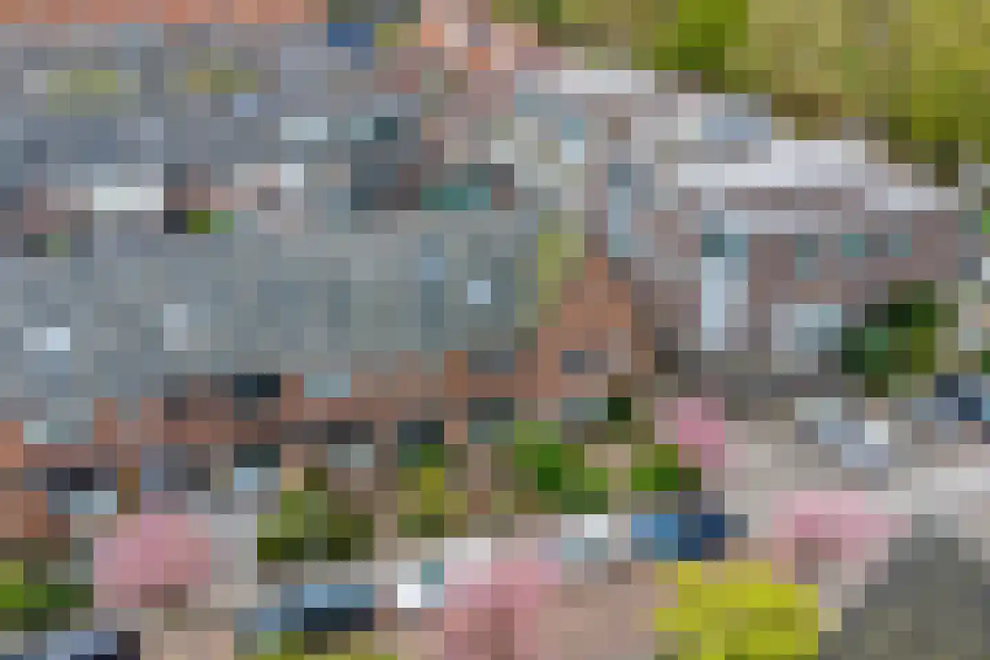 Frans Halsstraat 45 Alkmaar thumbnail 25