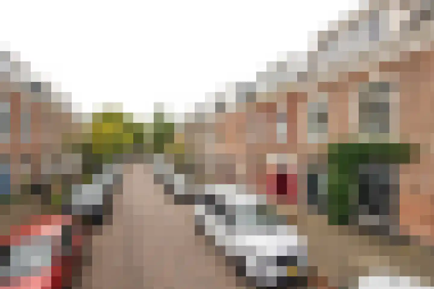 Frans Halsstraat 46 RD Haarlem thumbnail 23