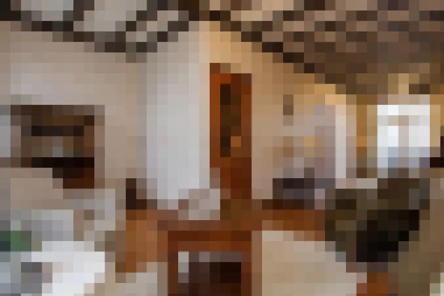 Frans Halsstraat 48 Haarlem thumbnail 23