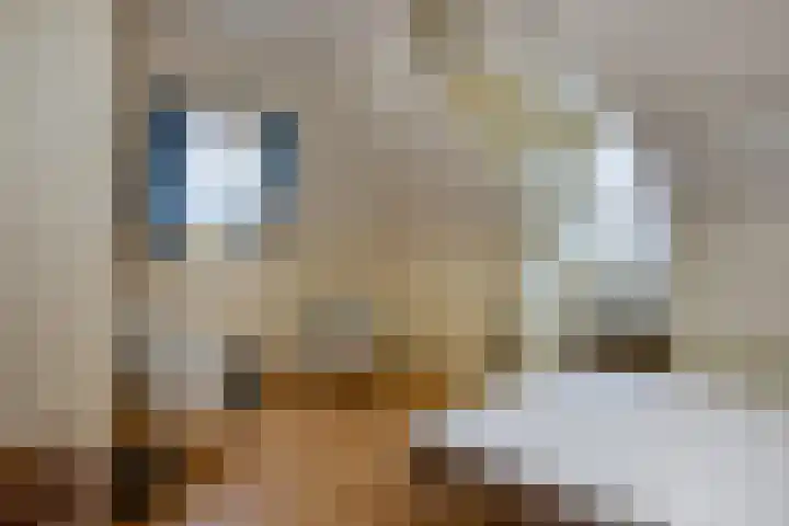 Frans Halsstraat 48 Haarlem thumbnail 30