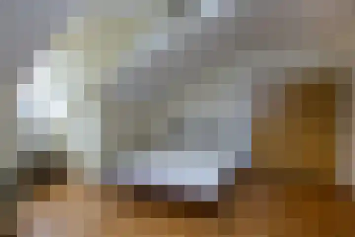 Frans Halsstraat 48 Haarlem thumbnail 31