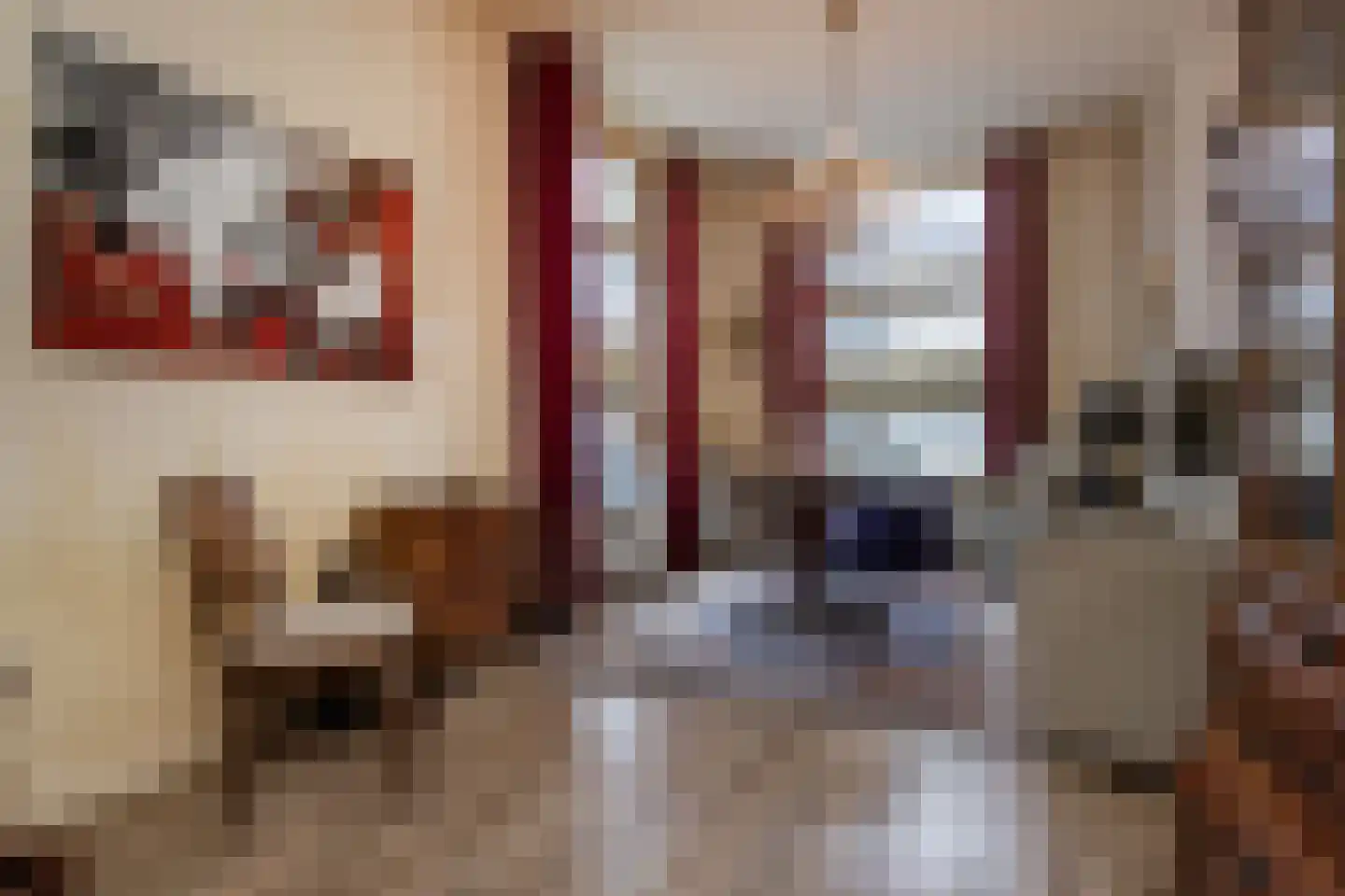 Frans Halsstraat 48 Haarlem thumbnail 4