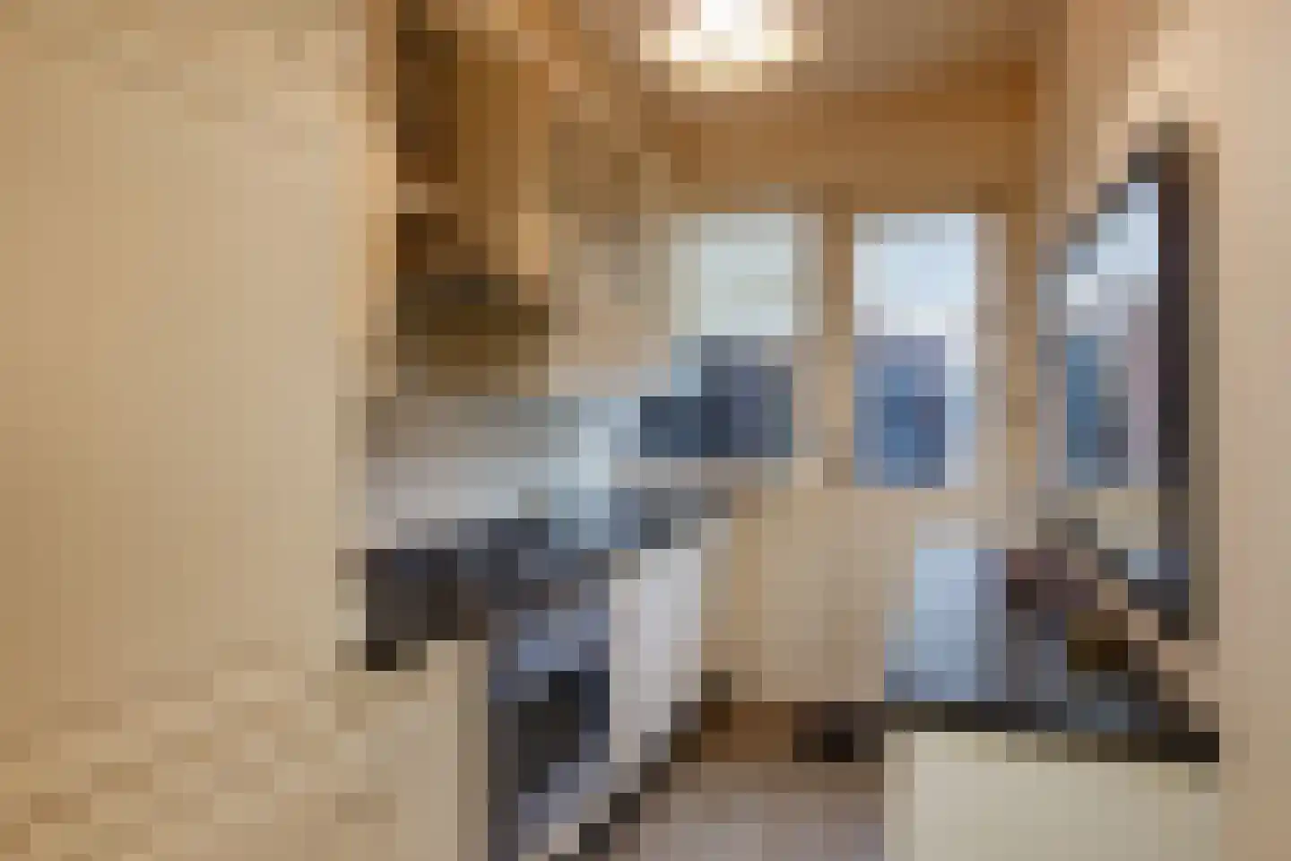 Frans Halsstraat 48 Haarlem thumbnail 8