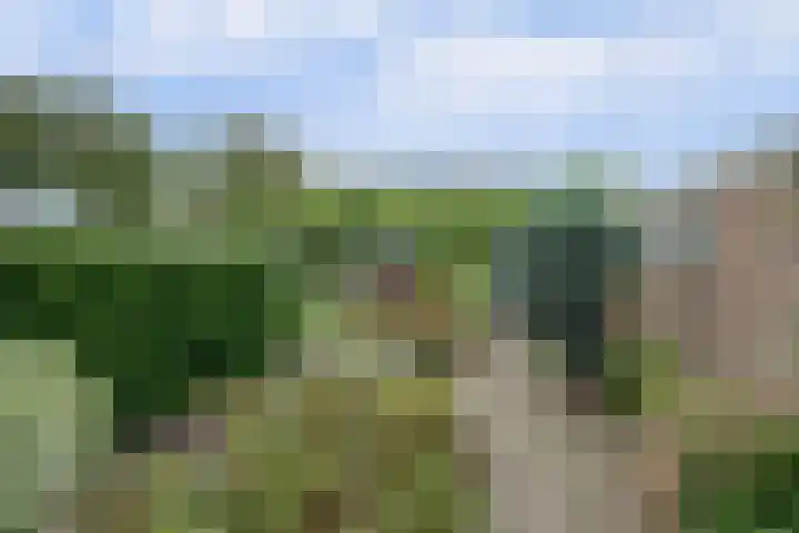 Frans Halsstraat 48 Zoetermeer thumbnail 5