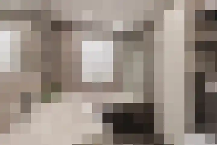 Frans Halsstraat 49 Spijkenisse thumbnail 17