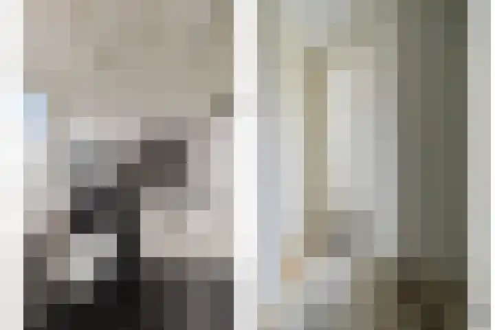 Frans Halsstraat 49 Spijkenisse thumbnail 22