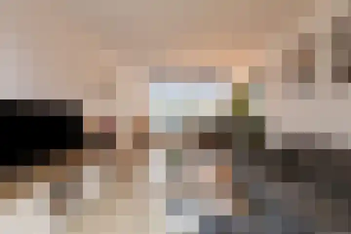 Frans Halsstraat 49 Spijkenisse thumbnail 4
