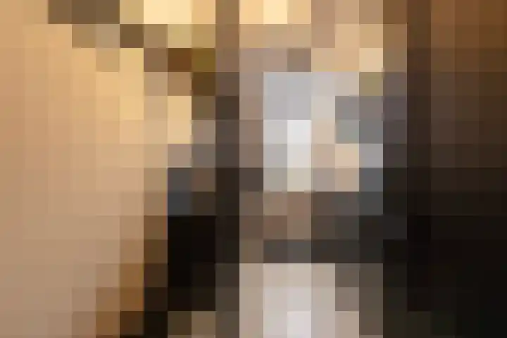 Frans Halsstraat 49 Spijkenisse thumbnail 5