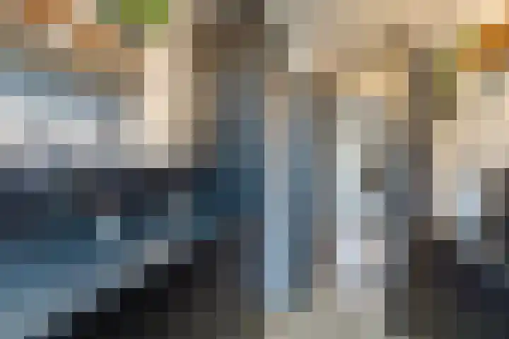 Frans Halsstraat 49 Spijkenisse thumbnail 6