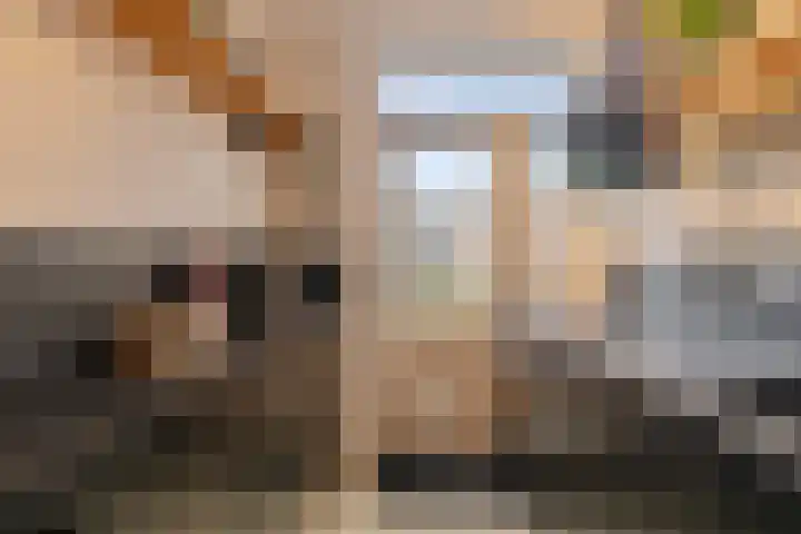 Frans Halsstraat 49 Spijkenisse thumbnail 7