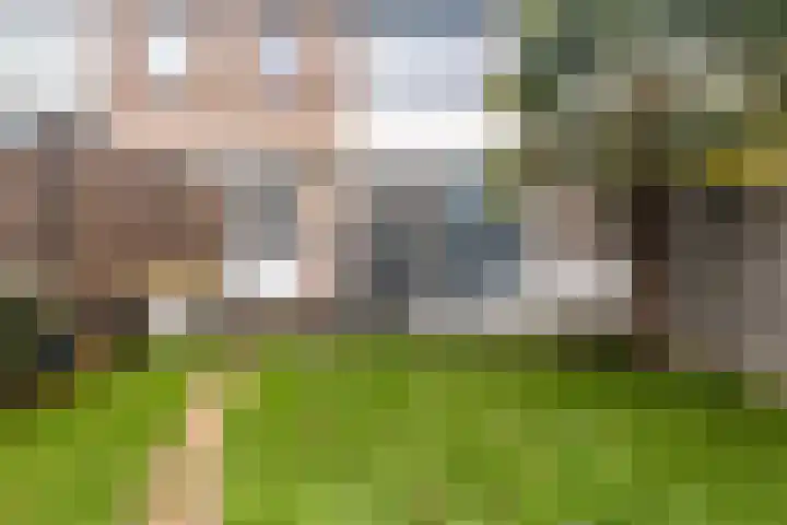 Frans Halsstraat 49 Spijkenisse thumbnail 8