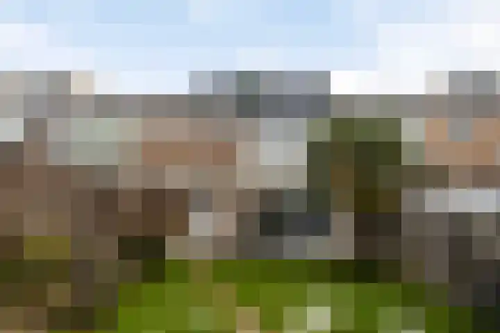 Frans Halsstraat 49 Spijkenisse thumbnail 9