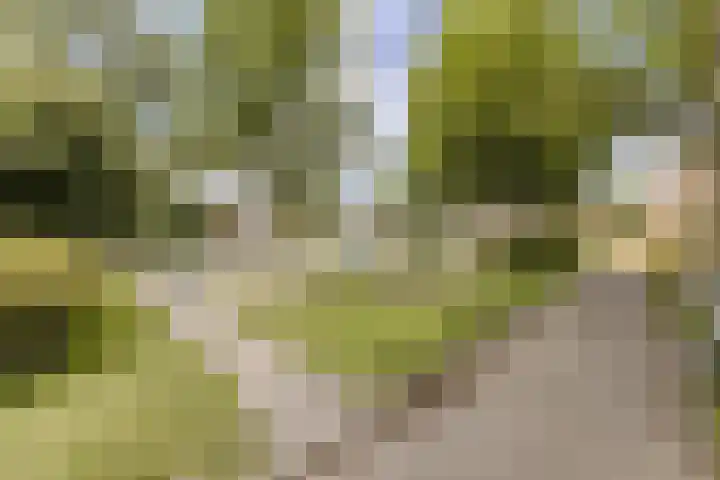 Frans Halsstraat 5 Alkmaar thumbnail 35