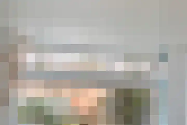 Frans Halsstraat 5 Alkmaar thumbnail 8