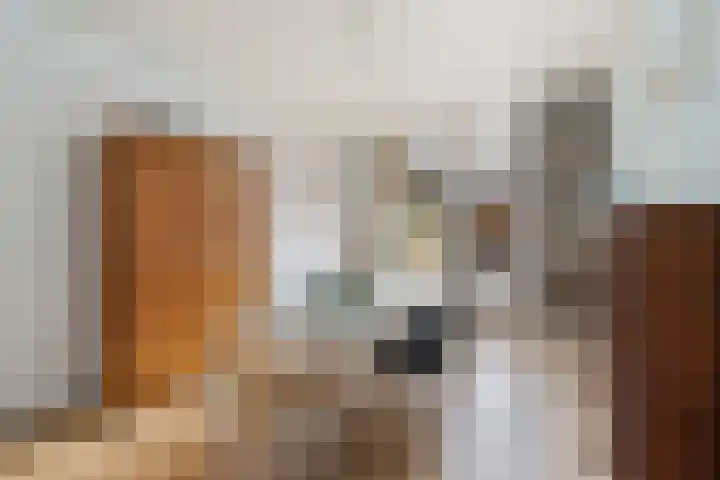 Frans Halsstraat 5 Alkmaar thumbnail 9