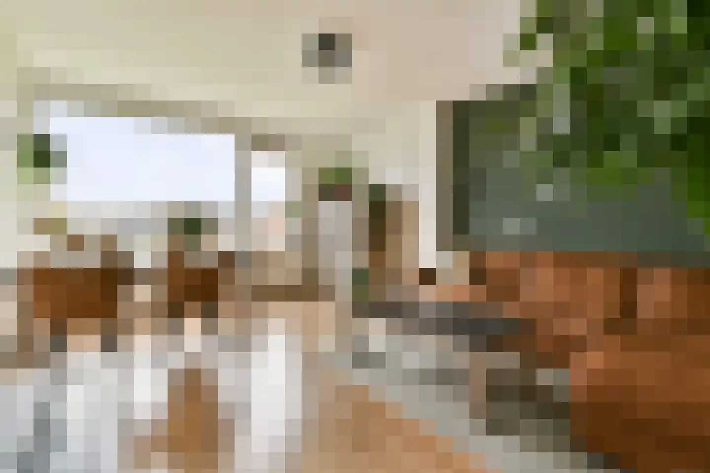 Frans Halsstraat 5 B Spijkenisse thumbnail 11