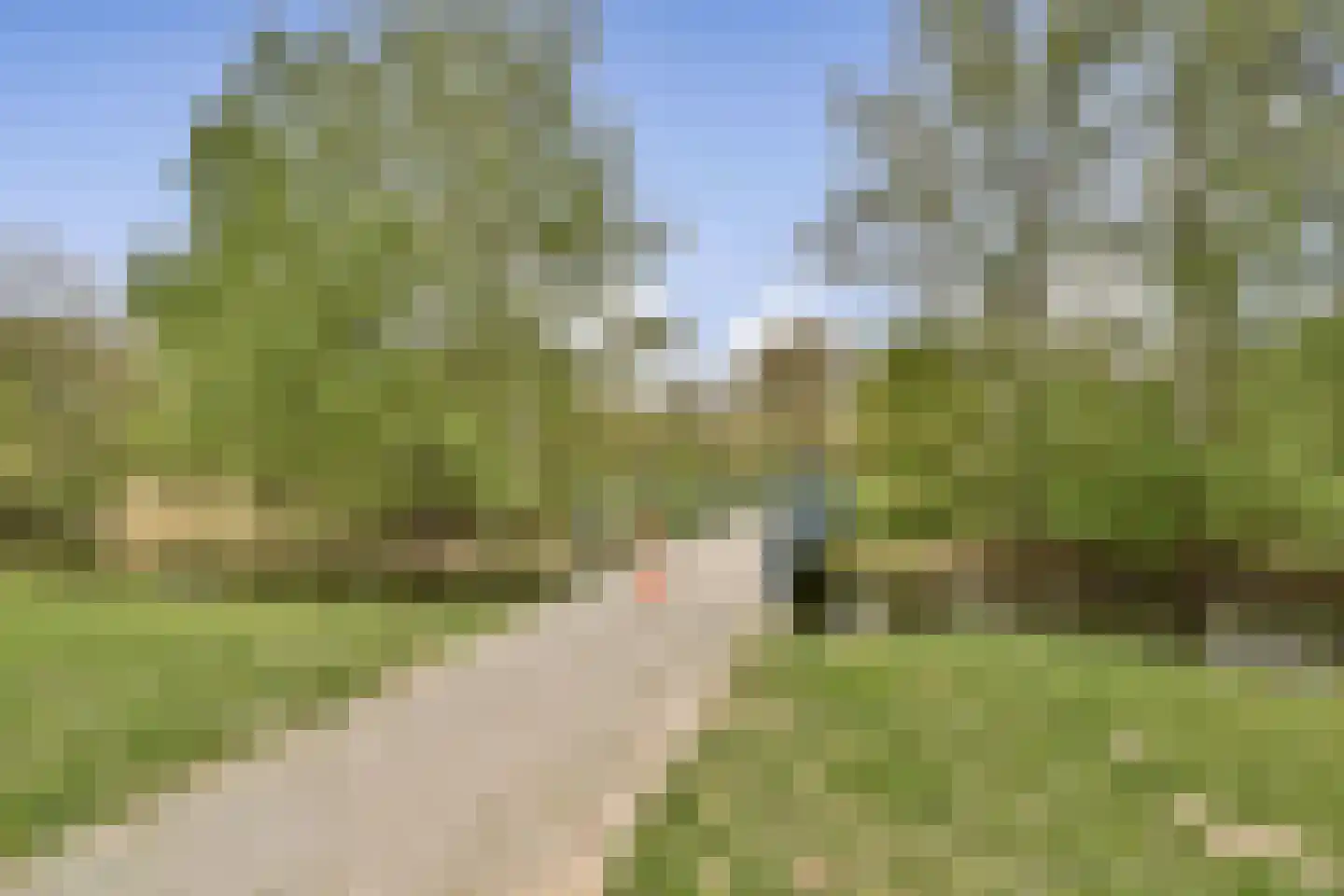 Frans Halsstraat 5 B Spijkenisse thumbnail 19