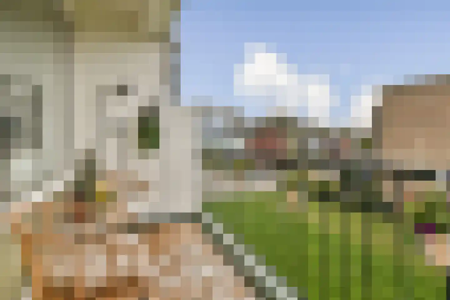 Frans Halsstraat 5 B Spijkenisse thumbnail 5