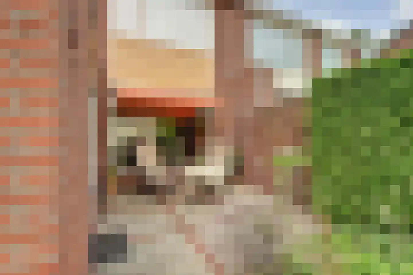 Frans Halsstraat 5 Haaksbergen thumbnail 18