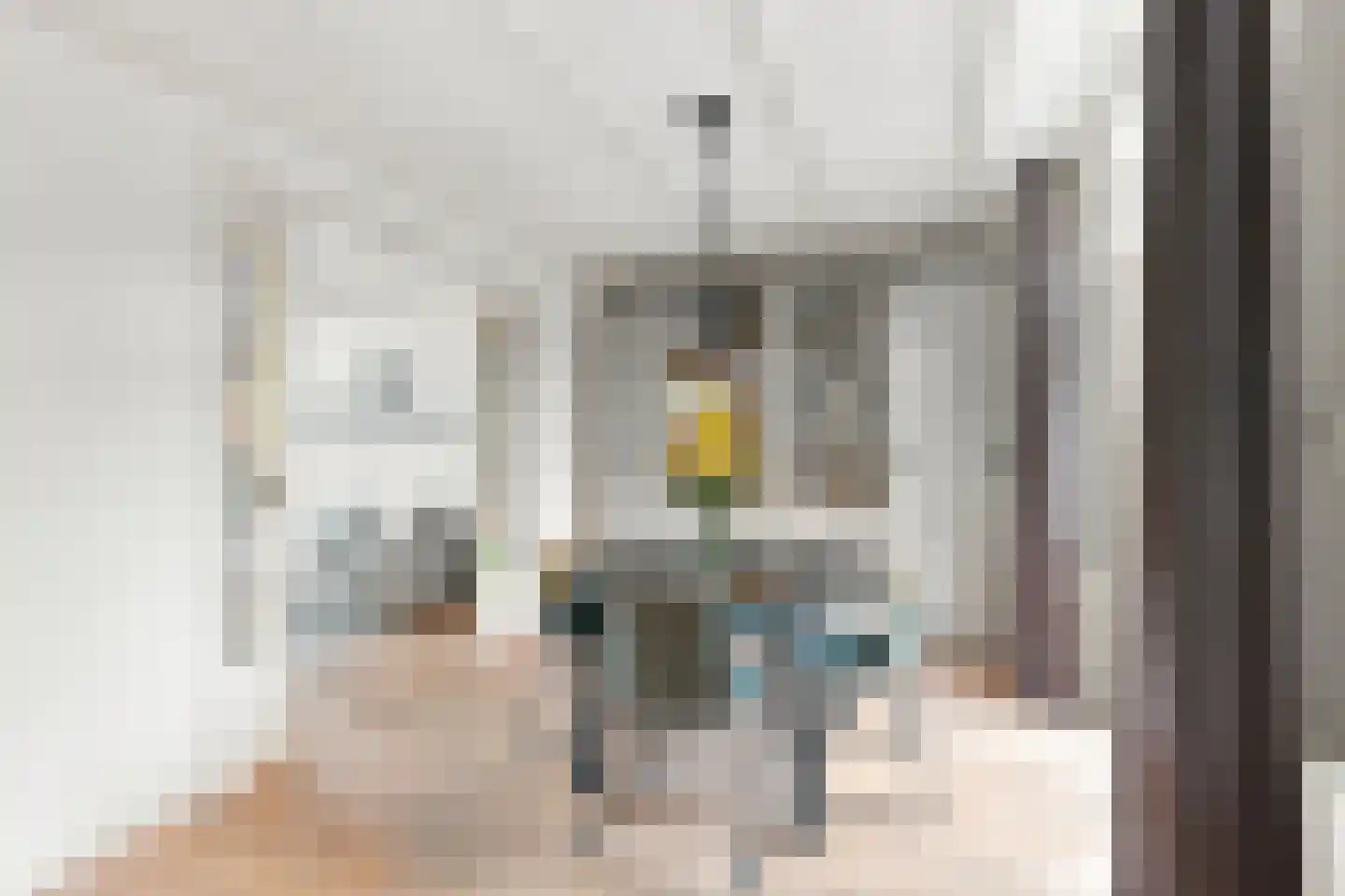 Frans Halsstraat 5 Heerhugowaard thumbnail 20
