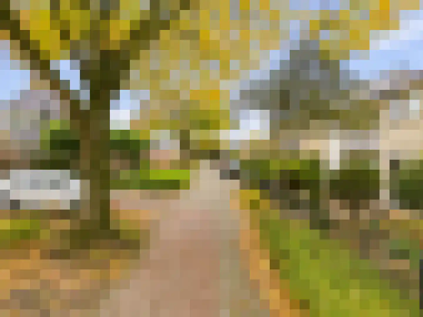 Frans Halsstraat 5 Heerhugowaard thumbnail 42