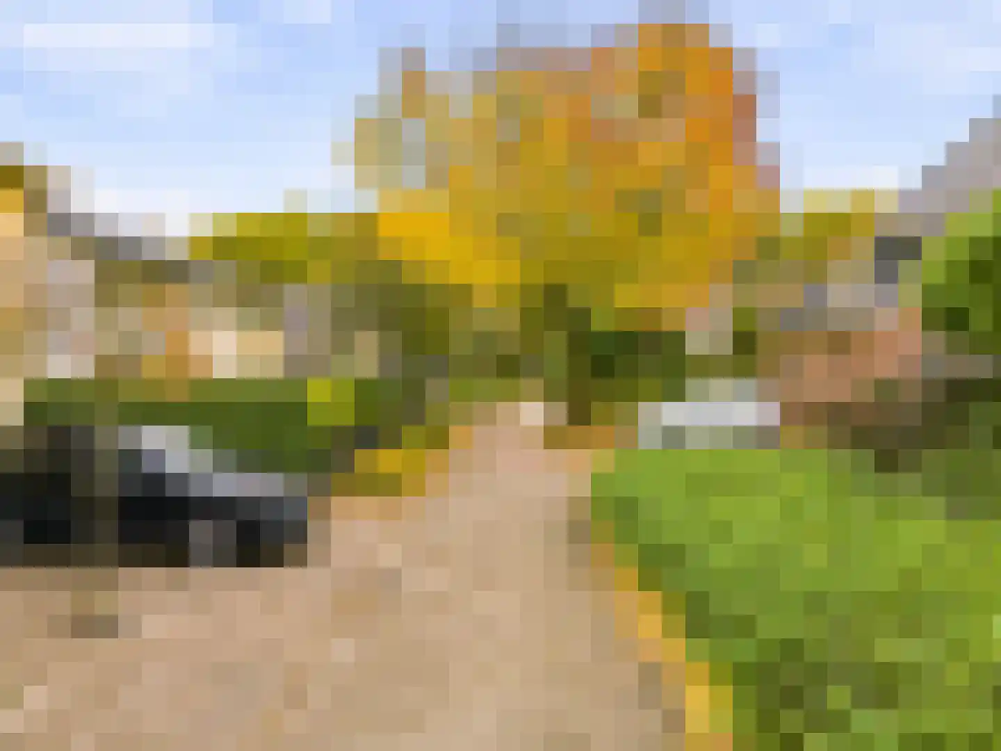 Frans Halsstraat 5 Heerhugowaard thumbnail 43