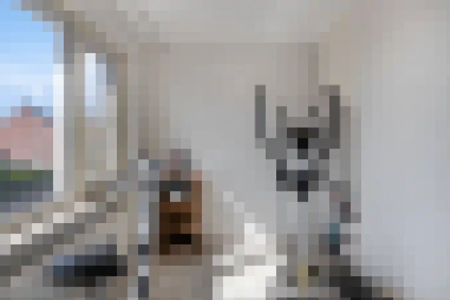 Frans Halsstraat 5 Heesch thumbnail 20