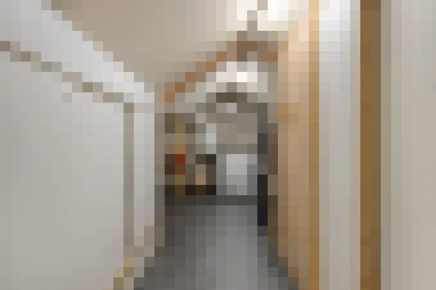 Frans Halsstraat 5 Heesch thumbnail 23