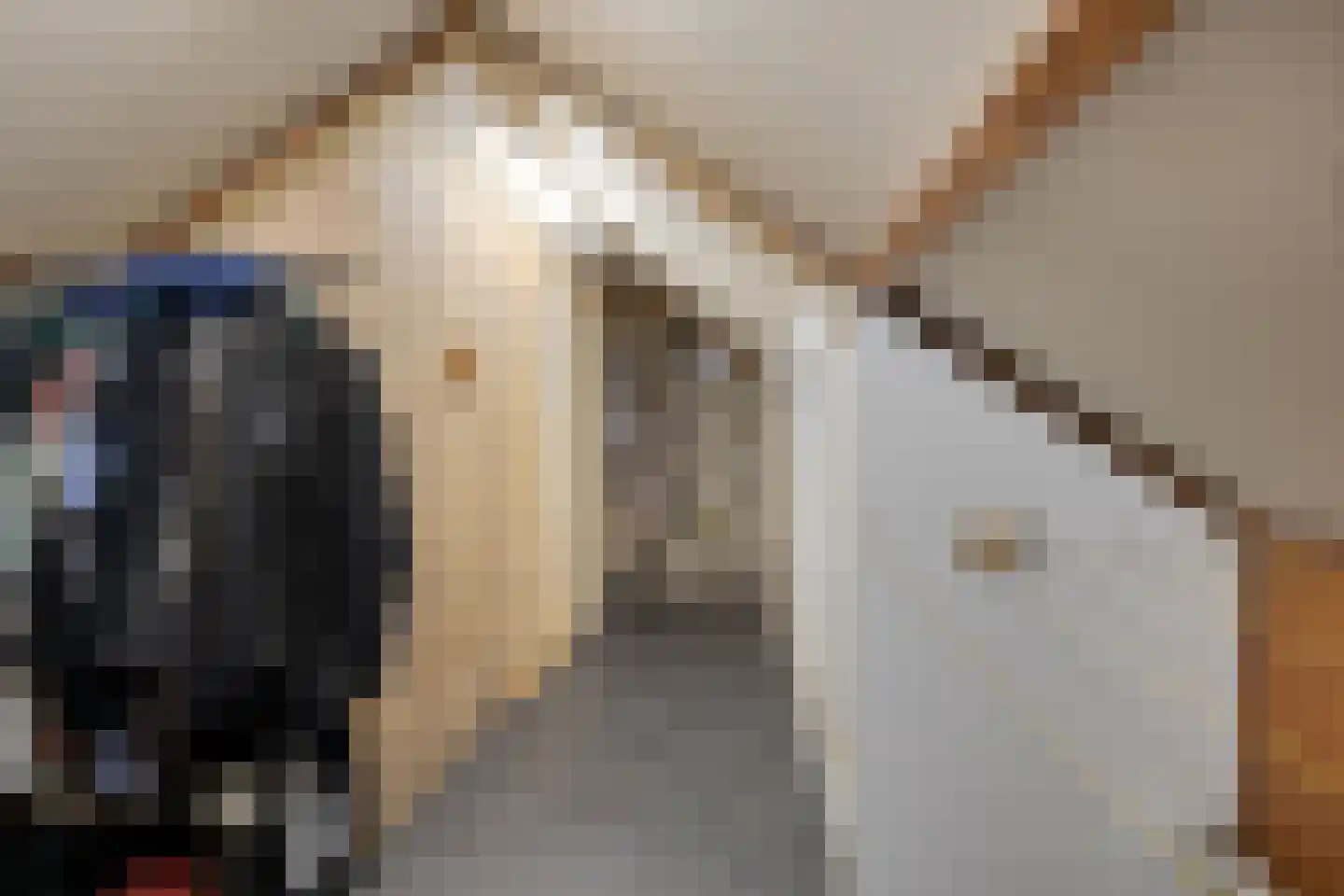 Frans Halsstraat 5 Heesch thumbnail 25