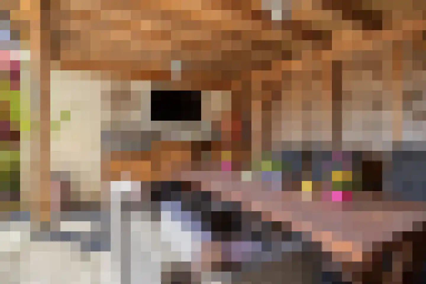 Frans Halsstraat 5 Heesch thumbnail 29