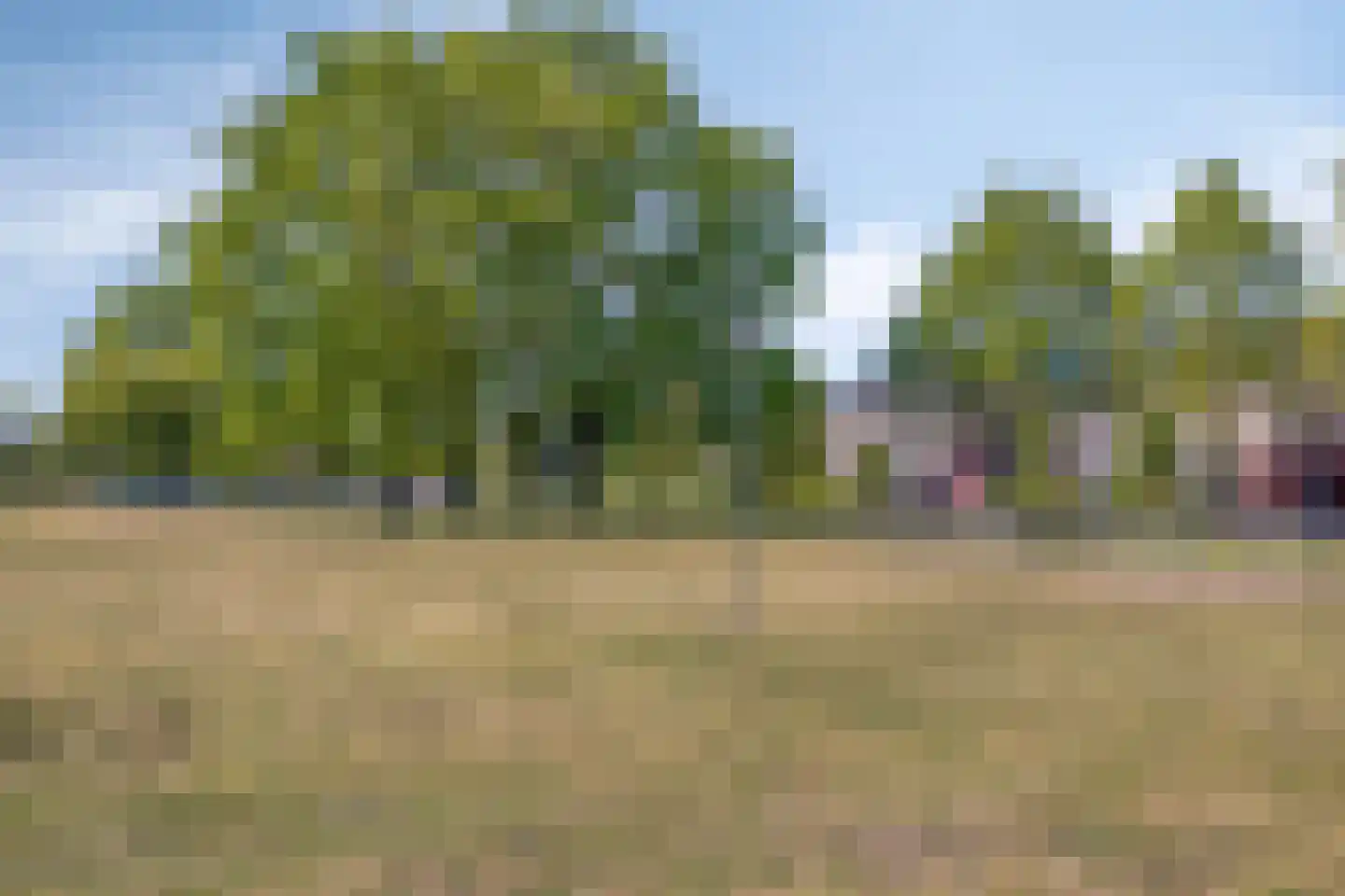 Frans Halsstraat 5 Heesch thumbnail 36