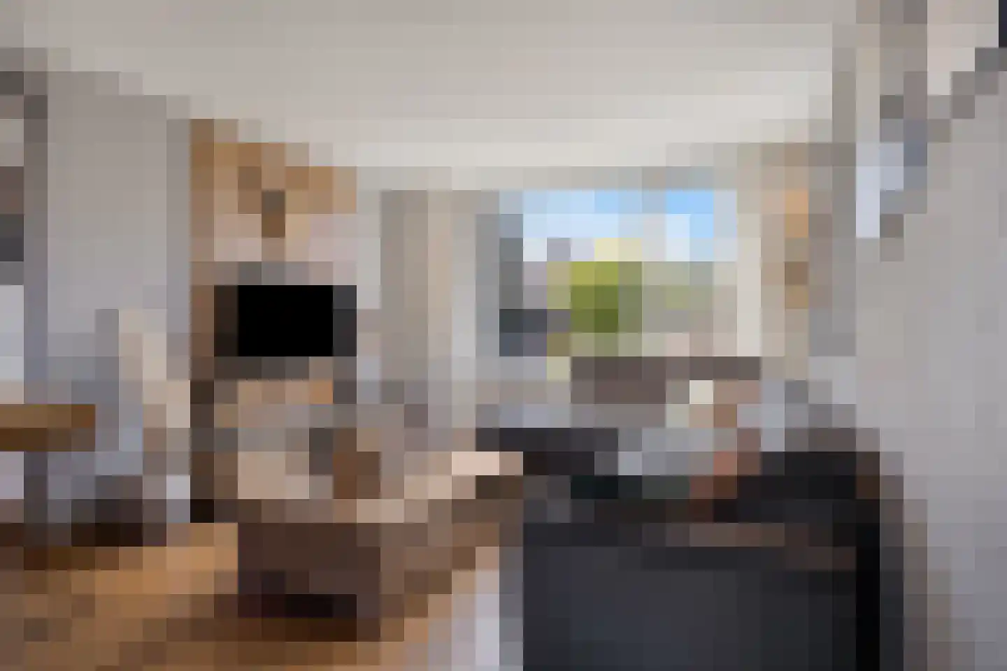 Frans Halsstraat 5 Heesch thumbnail 8