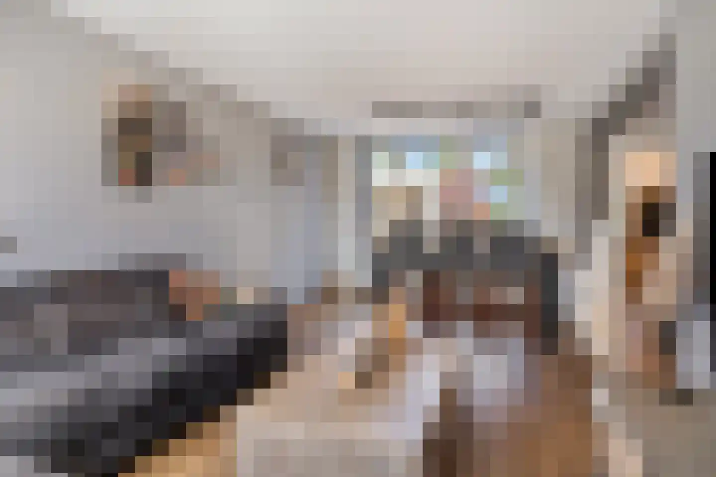 Frans Halsstraat 5 Heesch thumbnail 9