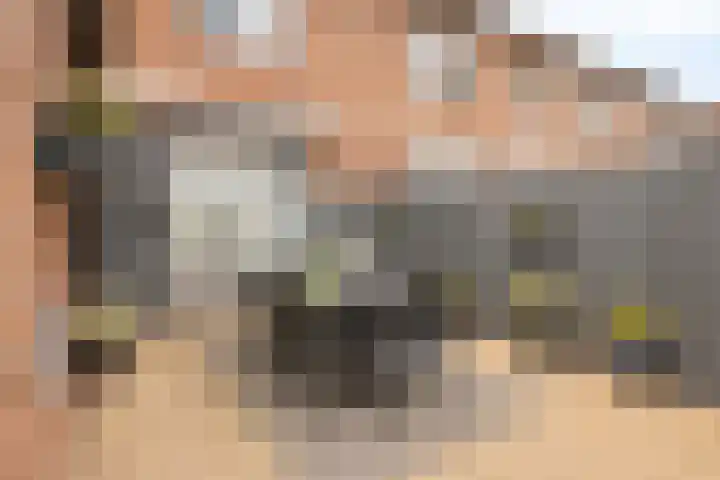 Frans Halsstraat 51 Sittard thumbnail 20