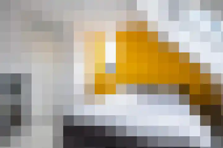 Frans Halsstraat 54 Woerden thumbnail 28