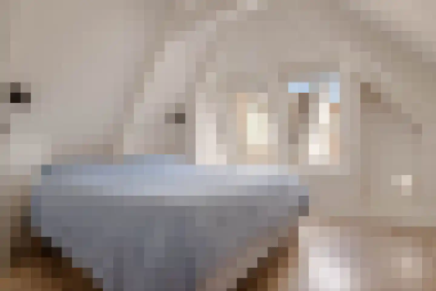 Frans Halsstraat 55 3 Amsterdam thumbnail 18