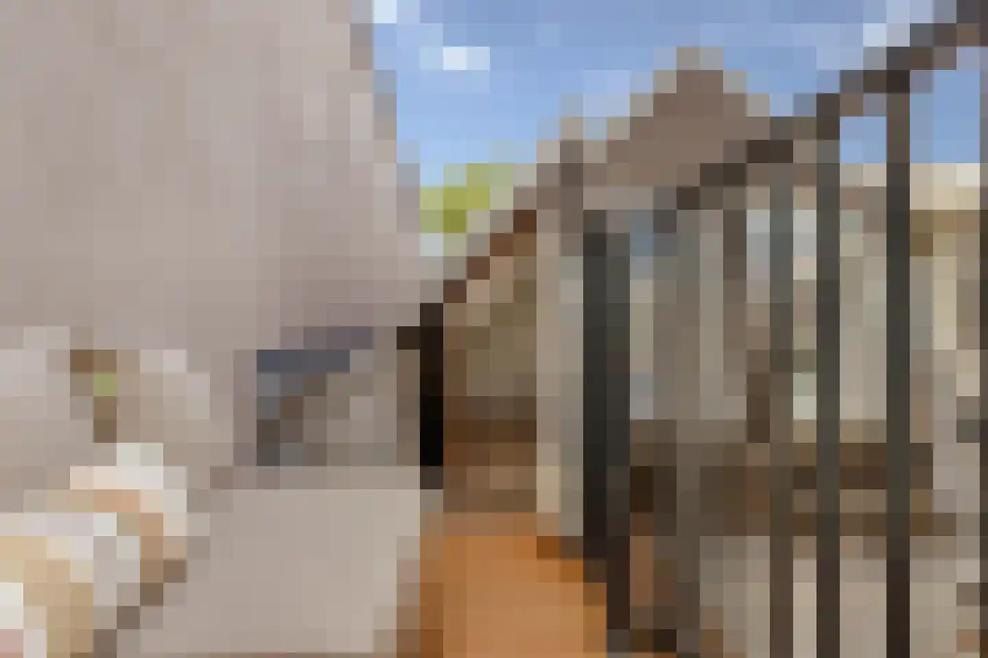 Frans Halsstraat 55 3 Amsterdam thumbnail 28